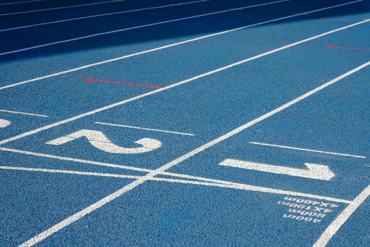 Success Stories: Athletes Who Found Teams on Squad Match